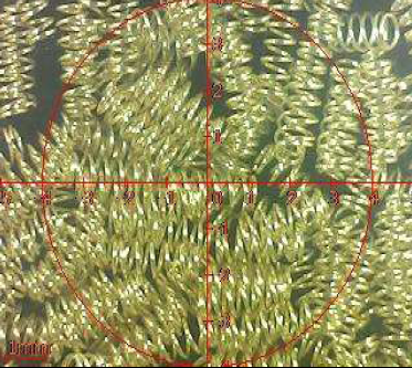 ROHS caij nplooj ntoos hlav plating khoom Pogo tus pin ntsuas Daim Ntawv Qhia